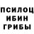 Псилоцибиновые грибы Magic Shrooms Poilna Akimova
