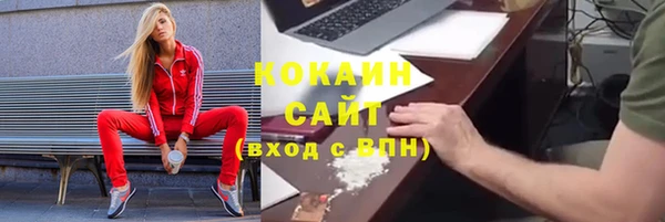 прущие грибы Медногорск