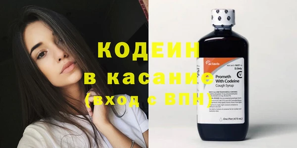 прущие грибы Медногорск