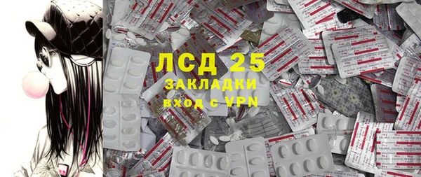 прущие грибы Медногорск