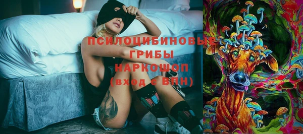 прущие грибы Медногорск