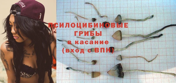 герыч Мегион
