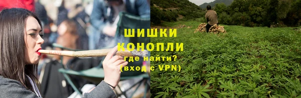 прущие грибы Медногорск
