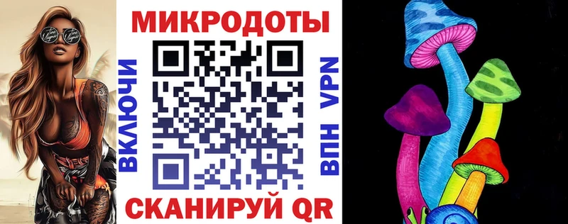 Псилоцибиновые грибы Cubensis  Курлово 